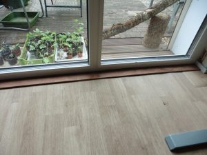 P1030441